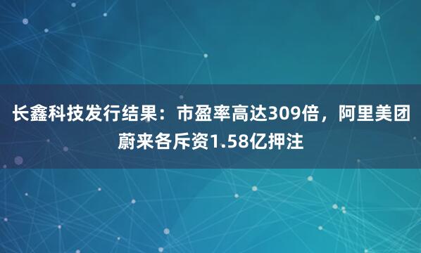 长鑫科技发行结果：市盈率高达309倍，阿里美团蔚来各斥资1.58亿押注