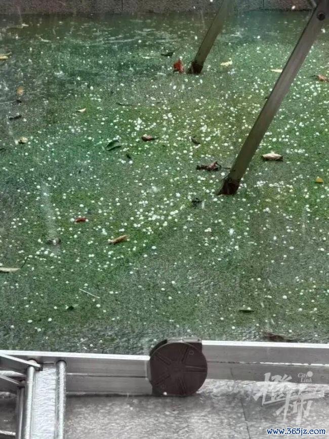 杭州发布主城区雷暴大风黄色预警 强对流天气来袭