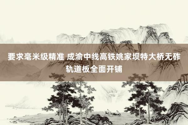 要求毫米级精准 成渝中线高铁姚家坝特大桥无砟轨道板全面开铺