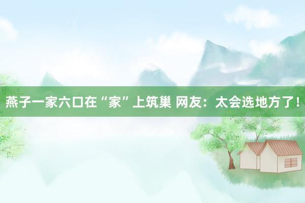 燕子一家六口在“家”上筑巢 网友：太会选地方了！