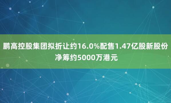 鹏高控股集团拟折让约16.0%配售1.47亿股新股份 净筹约5000万港元