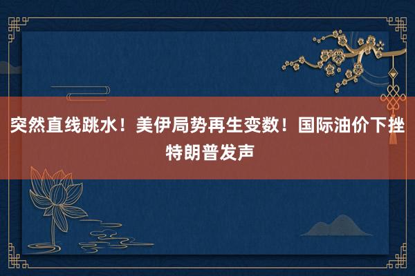 突然直线跳水！美伊局势再生变数！国际油价下挫 特朗普发声