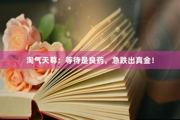 淘气天尊：等待是良药，急跌出真金！
