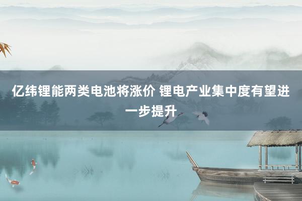 亿纬锂能两类电池将涨价 锂电产业集中度有望进一步提升
