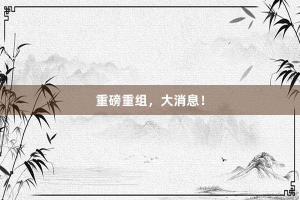 重磅重组，大消息！