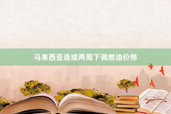 马来西亚连续两周下调燃油价格