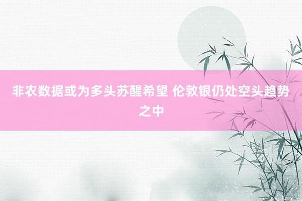 非农数据或为多头苏醒希望 伦敦银仍处空头趋势之中
