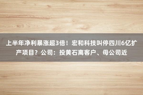 上半年净利暴涨超3倍！宏和科技叫停四川6亿扩产项目？公司：投黄石离客户、母公司近