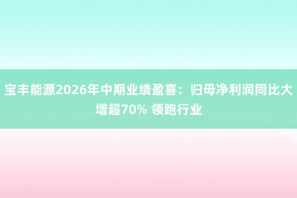 宝丰能源2026年中期业绩盈喜：归母净利润同比大增超70% 领跑行业