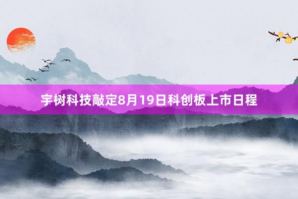 宇树科技敲定8月19日科创板上市日程