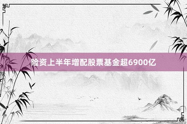 险资上半年增配股票基金超6900亿