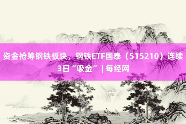 资金抢筹钢铁板块，钢铁ETF国泰（515210）连续3日“吸金” | 每经网