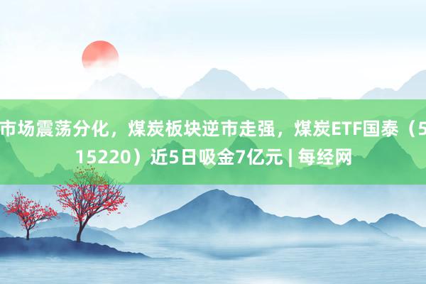 市场震荡分化，煤炭板块逆市走强，煤炭ETF国泰（515220）近5日吸金7亿元 | 每经网
