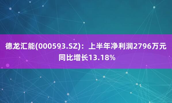 德龙汇能(000593.SZ)：上半年净利润2796万元 同比增长13.18%