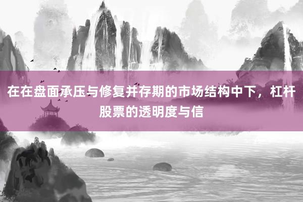 在在盘面承压与修复并存期的市场结构中下，杠杆股票的透明度与信