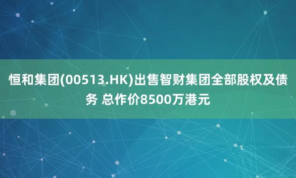 恒和集团(00513.HK)出售智财集团全部股权及债务 总作价8500万港元