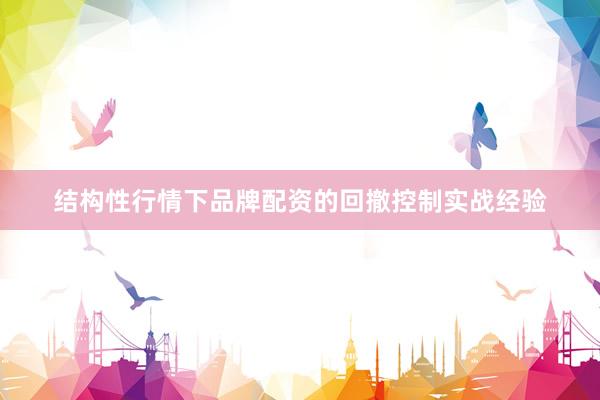 结构性行情下品牌配资的回撤控制实战经验