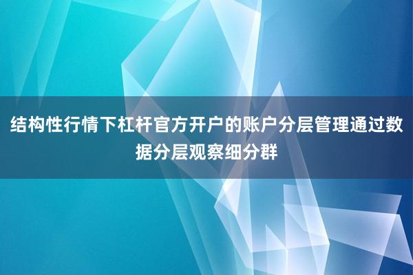 结构性行情下杠杆官方开户的账户分层管理通过数据分层观察细分群