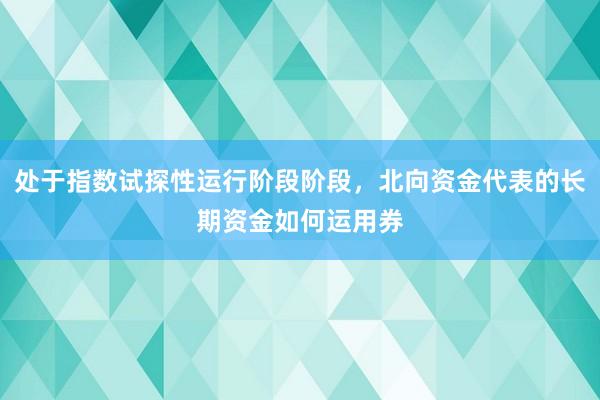 处于指数试探性运行阶段阶段，北向资金代表的长期资金如何运用券
