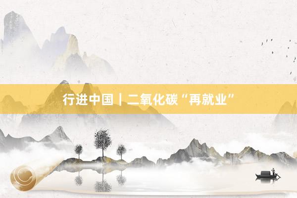 行进中国｜二氧化碳“再就业”