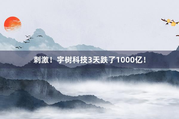 刺激！宇树科技3天跌了1000亿！