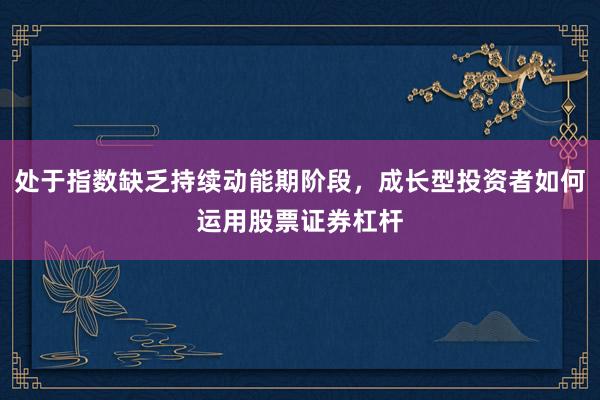 处于指数缺乏持续动能期阶段，成长型投资者如何运用股票证券杠杆