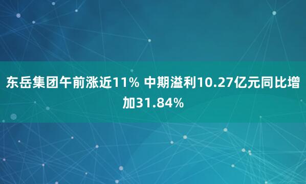 东岳集团午前涨近11% 中期溢利10.27亿元同比增加31.84%