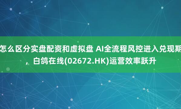 怎么区分实盘配资和虚拟盘 AI全流程风控进入兑现期，白鸽在线(02672.HK)运营效率跃升