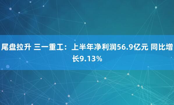 尾盘拉升 三一重工：上半年净利润56.9亿元 同比增长9.13%