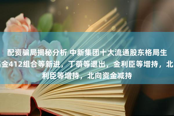 配资骗局揭秘分析 中新集团十大流通股东格局生变：社保基金412组合等新进，丁萌等退出，金利臣等增持，北向资金减持