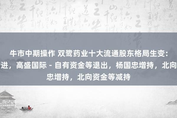 牛市中期操作 双鹭药业十大流通股东格局生变：袁中华等新进，高盛国际－自有资金等退出，杨国忠增持，北向资金等减持