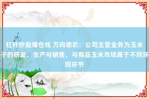 杠杆炒股爆仓线 万向德农：公司主营业务为玉米种子的研发、生产与销售，与商品玉米市场属于不同环节
