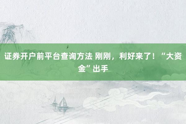 证券开户前平台查询方法 刚刚，利好来了！“大资金”出手