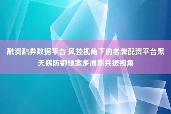 融资融券数据平台 风控视角下的老牌配资平台黑天鹅防御预案多周期共振视角
