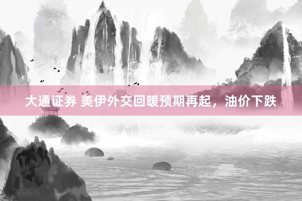 大通证券 美伊外交回暖预期再起，油价下跌