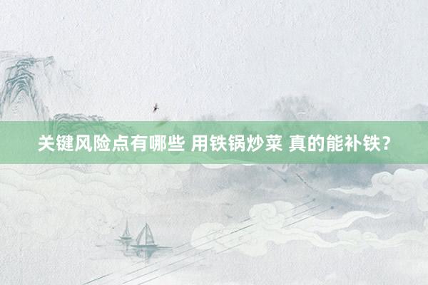 关键风险点有哪些 用铁锅炒菜 真的能补铁？
