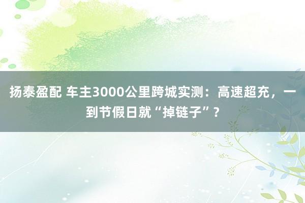 扬泰盈配 车主3000公里跨城实测：高速超充，一到节假日就“掉链子”？